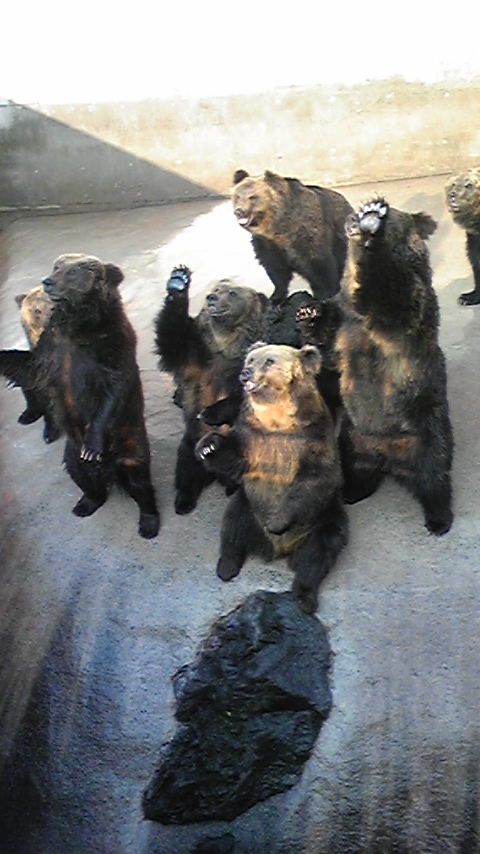 DVC00200.jpg